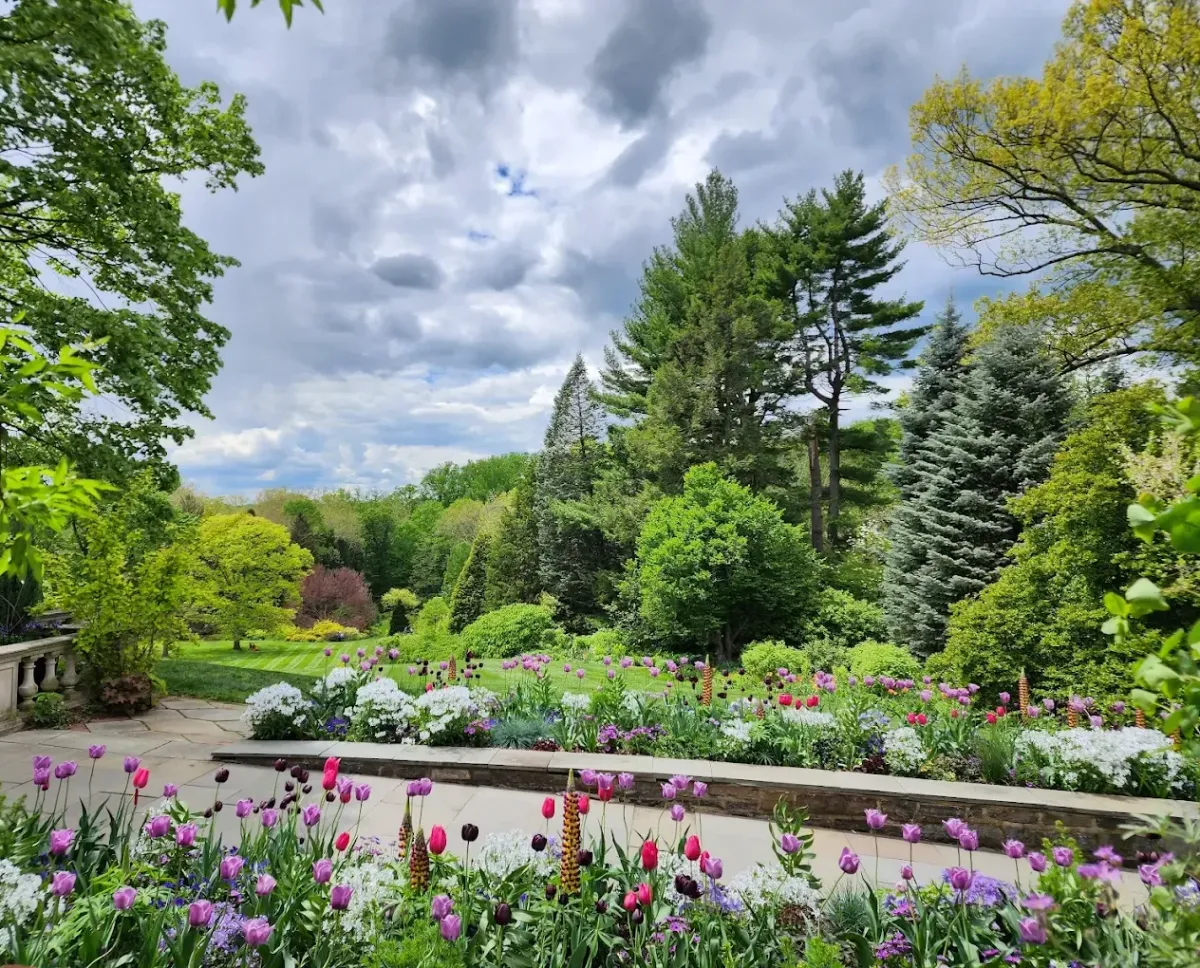 Chanticleer