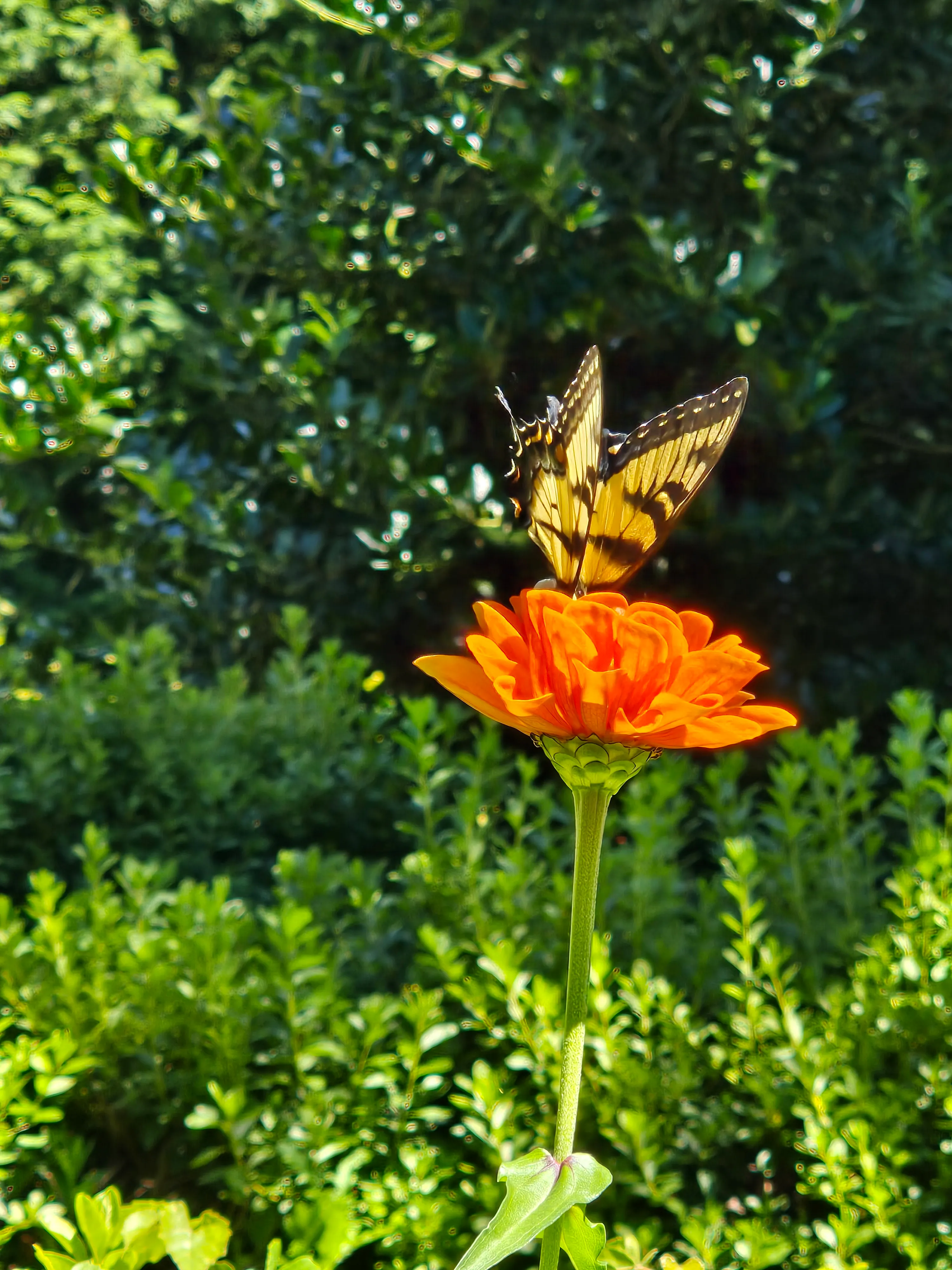 Feed Your Garden