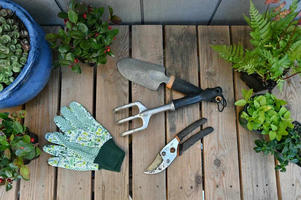 Clean and Maintain Your Tools