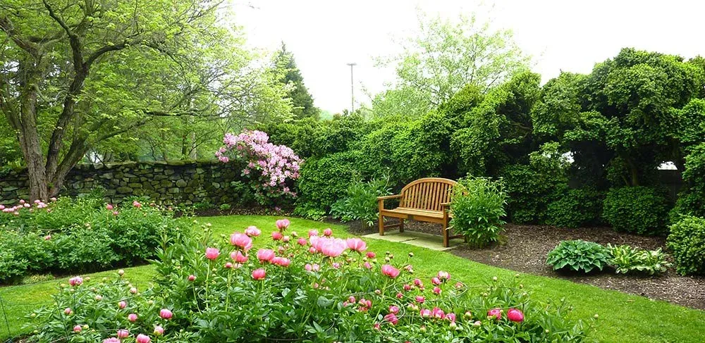 Photo of Goodstay Gardens’ Peony Garden Renovation