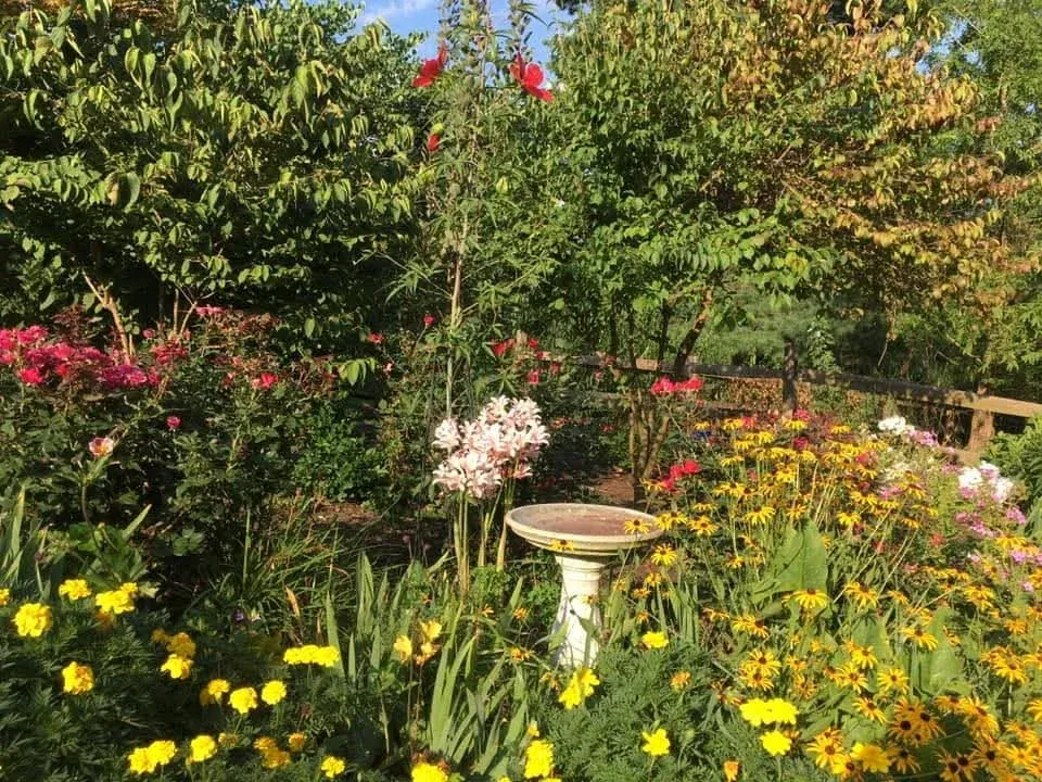 Birdbath Bloomery