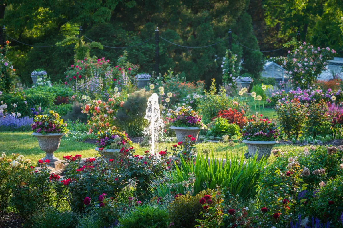 Morris Arboretum & Gardens