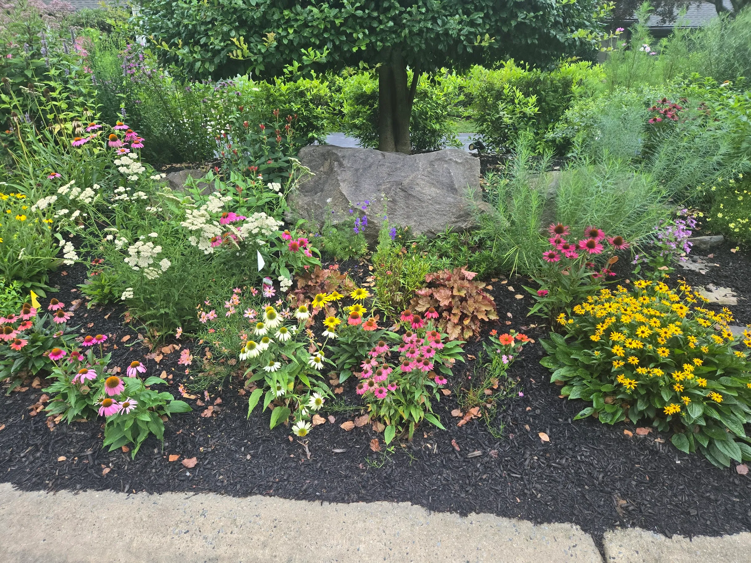 Mulch Matters