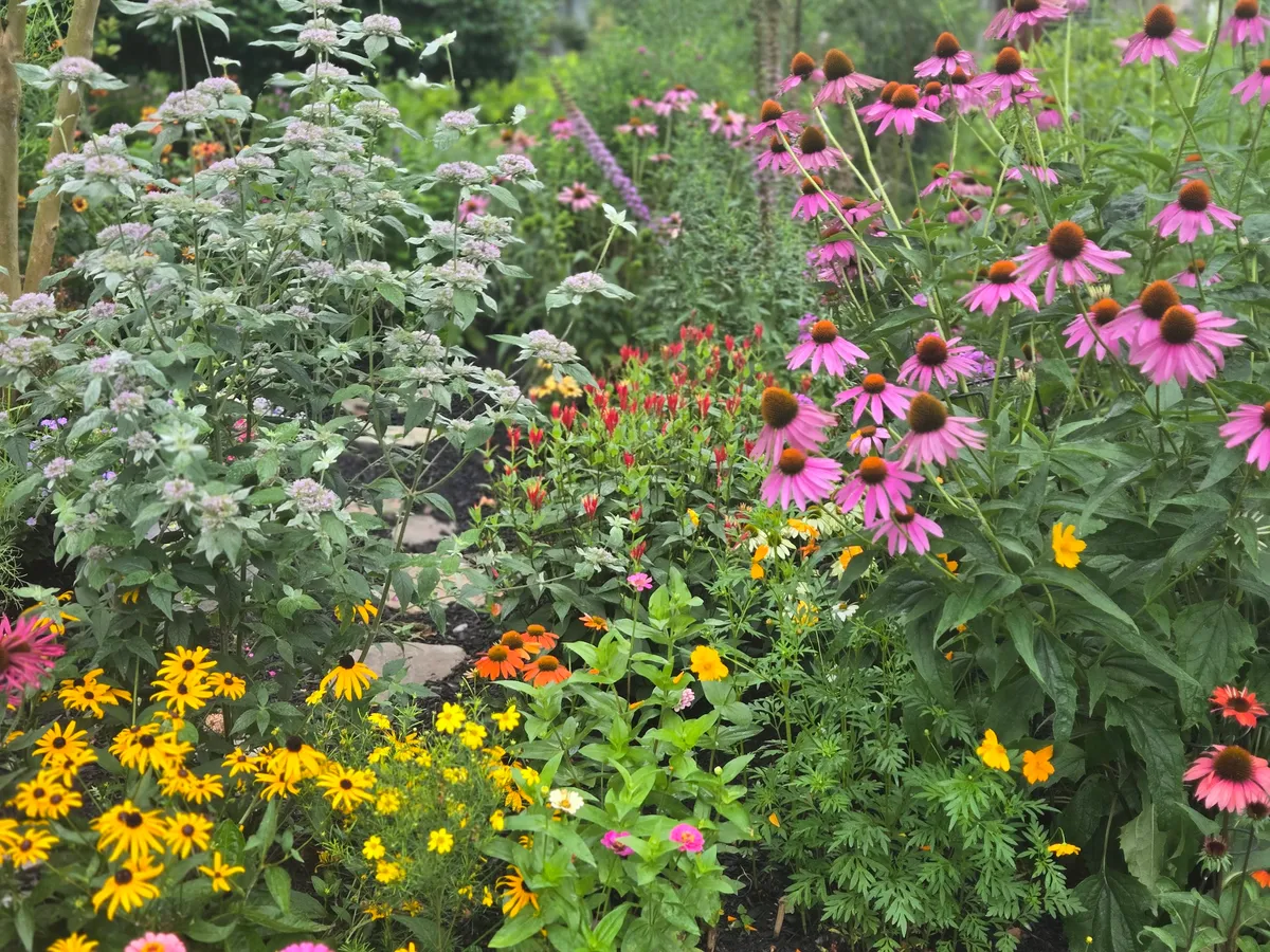 Start with Your Soil